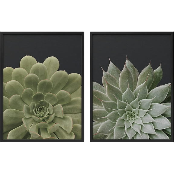 PixonSign Framed Wall Art Collage Print Gallery Set Green Spiky and Soft Succulents Botanical Plants Photography Realism Modern Portrait Multicolor for Living Room, Bedroom, Office - 12"x16"x2 BLACK