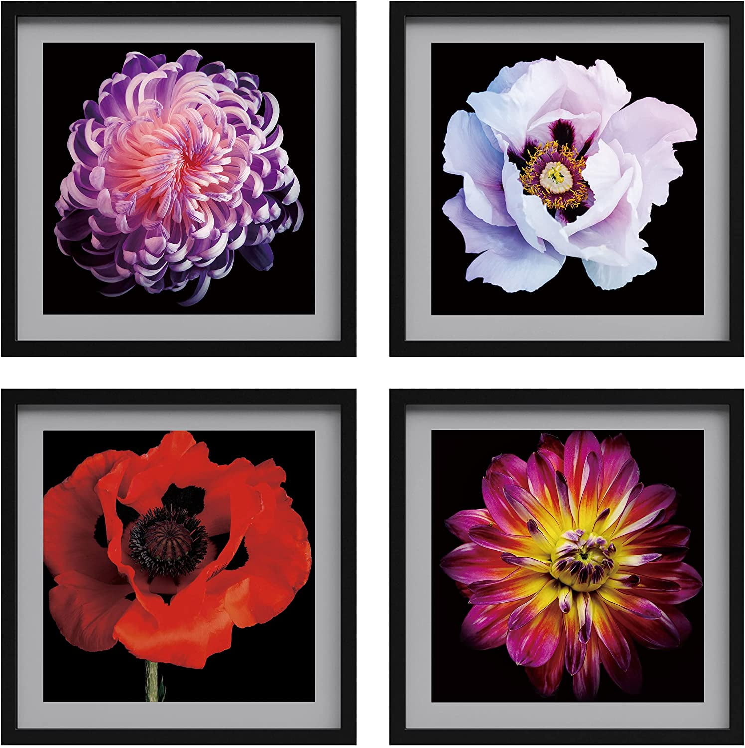 mocigoma♡ 16640 Sunset Way, Fort Lauderdale, FL 33326 | MLS #A11844241