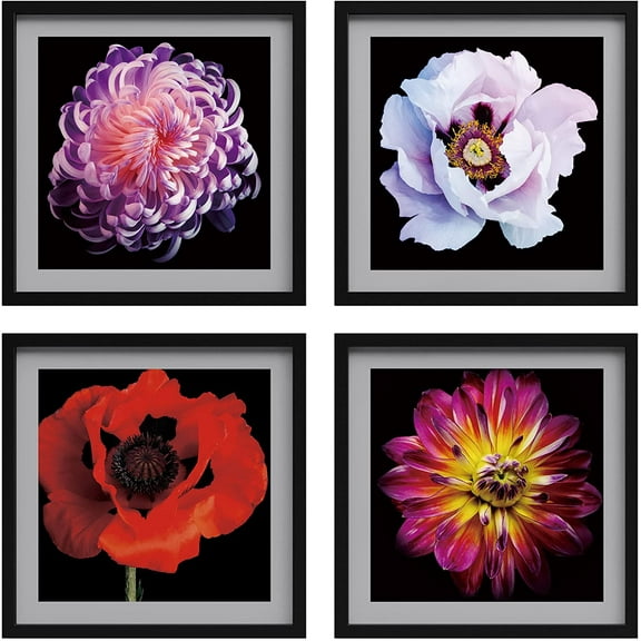 PixonSign Framed Wall Art Collage Print Gallery Set Rose & Chrysanthemum Flowers Nature Floral Photography Rustic Botanical CloseUp Multicolor for Living Room, Bedroom, Office - 12"x12"x4 BLACK