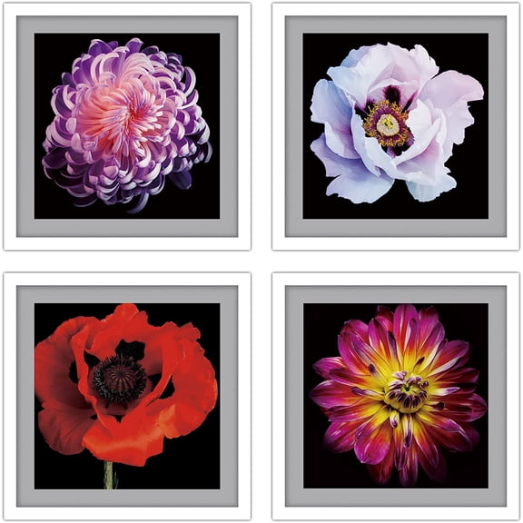 PixonSign Framed Wall Art Collage Print Gallery Set Rose & Chrysanthemum Flowers Nature Floral Photography Rustic Botanical CloseUp Multicolor for Living Room, Bedroom, Office - 12"x12"x4 WHITE