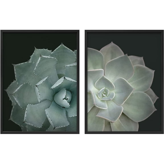 PixonSign Framed Wall Art Collage Print Gallery Set Spiked Breaker Succulent Duo Botanical Plants Photography Realism Modern Multicolor Warm for Living Room, Bedroom, Office - 12"x16"x2 BLACK