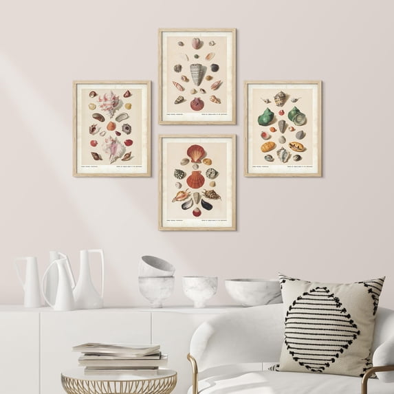 PixonSign Framed Wall Art Old-World Shell Collection Maritime Themed Posters, Set of 4 Classic Vintage Seaside Canvas Prints, Retro Nature Landscape Prints Wall Décor for Home - 12"x16" Natural