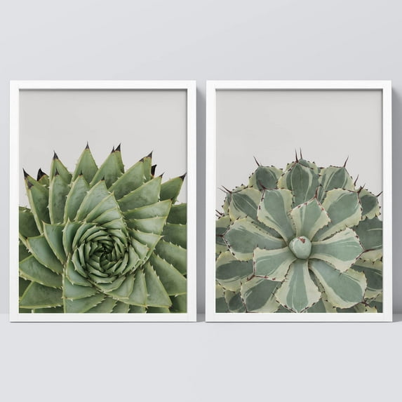PixonSign Framed Wall Art Prickly Green Cactus Posters, Set of 2 Southwest Texas Arizona Desert Plants Illustrations Wall Decor, Adhesive Canvas Prints for Home Decor - 12"x16" White