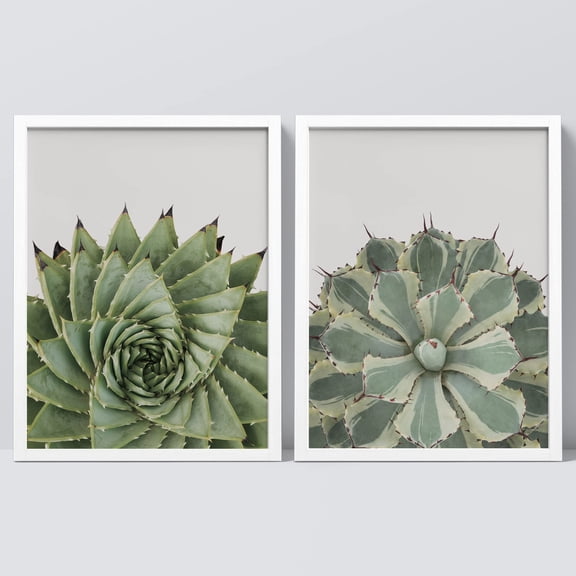 PixonSign Framed Wall Art Prickly Green Cactus Posters, Set of 2 Southwest Texas Arizona Desert Plants Illustrations Wall Decor, Adhesive Canvas Prints for Home Decor - 12"x16" White