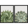 thumbnail image 1 of PixonSign Framed Wall Art Prickly Green Cactus Posters, Set of 2 Southwest Texas Arizona Desert Plants Illustrations Wall Decor, Adhesive Canvas Prints for Home Decor - 11"x14" Black, 1 of 5
