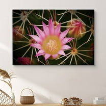 PixonSign Framed Wall Art Print Blossoming Pink Cactus Flower Nature Wilderness Photography Realism Southwest Closeup Colorful Multicolor Neon for Living Room, Bedroom, Office - 32"x48"