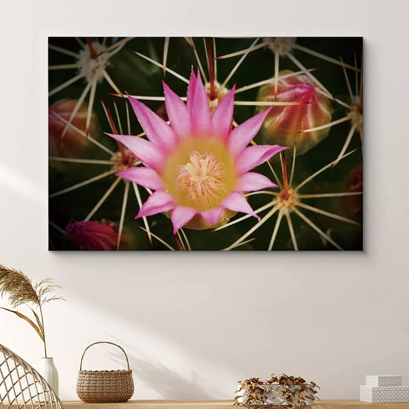 PixonSign Framed Wall Art Print Blossoming Pink Cactus Flower Nature Wilderness Photography Realism Southwest Closeup Colorful Multicolor Neon for Living Room, Bedroom, Office - 32"x48"