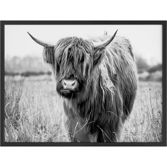 PixonSign Framed Wall Art Print CloseUp Black and White Highland Cow Animals Wilderness Photography Realism Modern Portrait Relax/Calm Multicolor Warm for Living Room, Bedroom, Office - 12"x16" BLACK