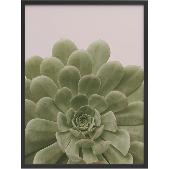 PixonSign Framed Wall Art Print Detailed Agavoides Succulent Portrait Nature Plants Photography Realism Modern CloseUp Relax/Calm Multicolor Warm for Living Room, Bedroom, Office - 12"x16" BLACK