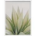 thumbnail image 1 of PixonSign Framed Wall Art Print Light Green Leaf Bunch on White Background Nature Plants Photography Realism Modern CloseUp Relax/Calm Multicolor Warm for Living Room, Bedroom, Office - 12"x16" WHITE, 1 of 6