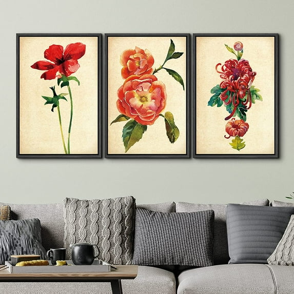 PixonSign Framed Wall Art Print Set Vintage Watercolor Red Rose Variety Floral Wilderness Illustrations Modern Art Glam Colorful Multicolor Cool for Living Room, Bedroom, Office - 16"x24"x3 Black