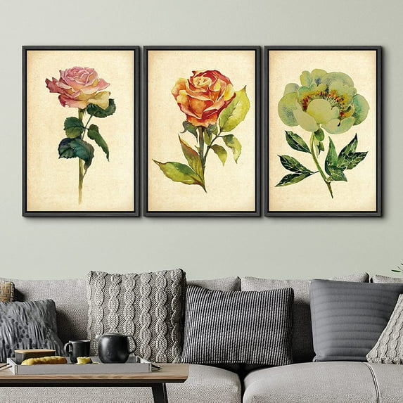 PixonSign Framed Wall Art Print Set Vintage Watercolor Rose & Peony Variety Floral Wilderness Illustrations Modern Art Glam Colorful Multicolor Cool for Living Room, Bedroom, Office - 16"x24"x3 Black