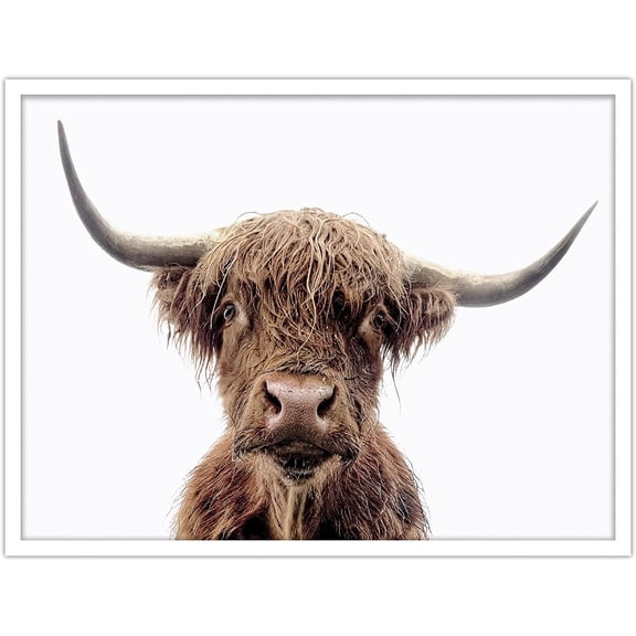 PixonSign Framed Wall Art Print Thin Brown Highland Cow Portrait Animals Wilderness Photography Realism Farmhouse/Country Multicolor Warm for Living Room, Bedroom, Office - 12"x16" WHITE