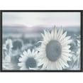 thumbnail image 1 of PixonSign Framed Wall Art Print Washed Out Sunflower Field at Sundown Botanical Plants Photography Realism Modern Portrait Relax/Calm Blue Duotone for Living Room, Bedroom, Office - 12"x16" BLACK, 1 of 6