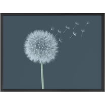 PixonSign Framed Wall Art Print White Dandelion with Florets in the Wind Botanical Plants Photography Realism Modern CloseUp Relax/Calm Blue Cool for Living Room, Bedroom, Office - 12"x16" BLACK