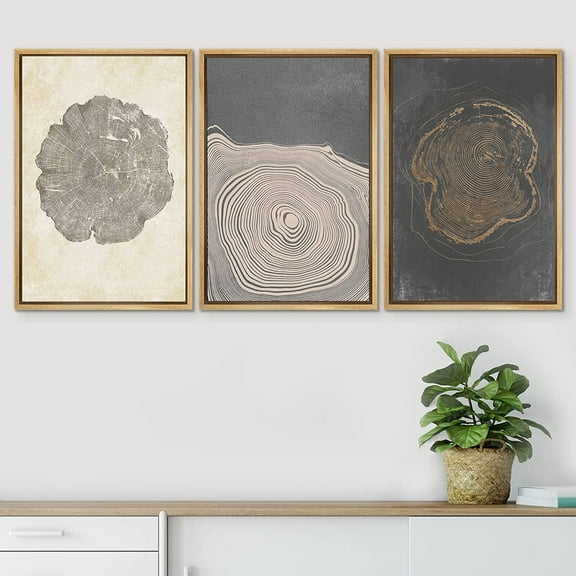 PixonSign Framed Wall Art Set Gray Wood Tree Ring Spirals Digital Art Vintage Abstract Circles Pattern Modern Prints Colorful Contemporary Calm/Zen for Home Decor - 24"x36"x3 Panels Natural
