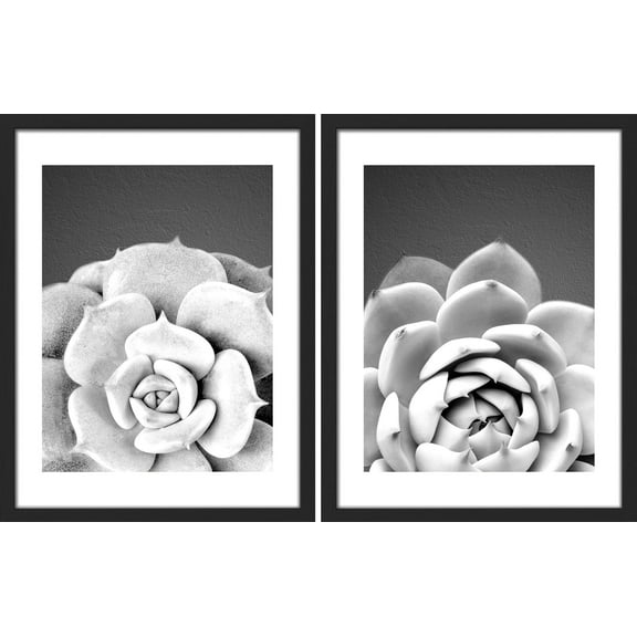 PixonSign Framed Wall Art Texas Succulent Cactus Posters, Set of 2 Black & White Desert Plants Photography Illustrations Wall Decor, Adhesive Canvas Prints for Home Decor - 11"x14" Black
