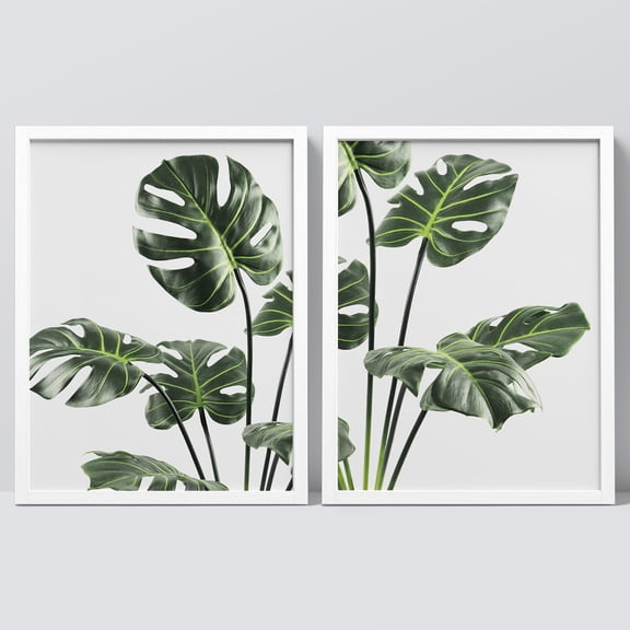 PixonSign Framed Wall Art Tropical Palm Monstera Jungle Plants Posters, Set of 2 Floral Botanical Nature Illustrations Wall Decor, Adhesive Canvas Prints for Home Decor - 8"x10" White