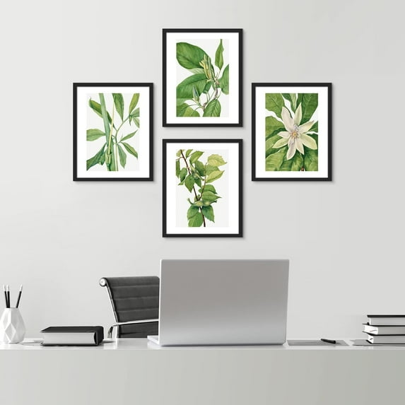 PixonSign Plant Growth Posters, Framed Green Forest Flower Wall Art, Set of 4 Collage Floral Wall Prints, Nature Wilderness Wall Décor, Botanical Artwork for Bedroom, Office - 8"x10" Black