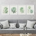 thumbnail image 1 of PixonSign&nbsp;Framed Pastel Echeveria Cactus Succulent Wall Art, Set of 4 Nature Wilderness Prints, Botanical Floral Plant Wall Décor, Rustic Artwork for Living Room, Bedroom - 8"x10" White, 1 of 5