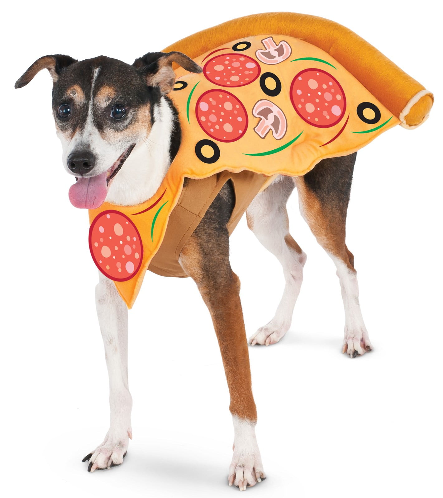 8 Scary Dog Costumes That Are Perfect For Halloween - The Dodo