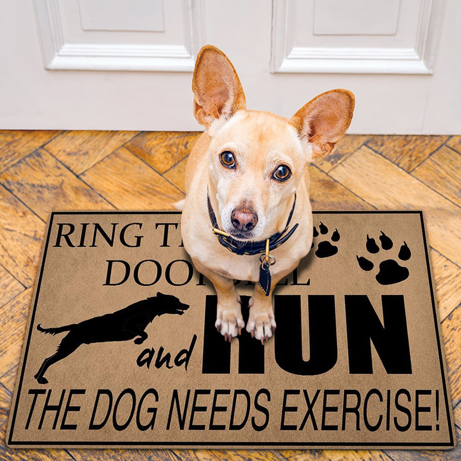 Pjtewawe Rug for Living Room Funny Floor Mats Decorative Doormat Life