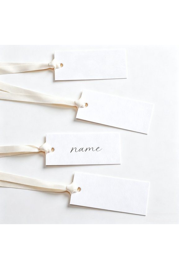 Place Cards with Ribbon 30 Pcs Blank Name for Wedding Table Setting 3.54 Inch