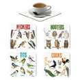 Placemats New Acrylic Fun Puns Bird A Set Of Four Bird And Animal Fun