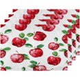 thumbnail image 1 of Placemats Set of 4, Apples 18 x 12 Inch Cotton Linen Heat Resistant Dining Table Place Mats Fruit Apples Washable Kitchen Table Mats for Dining Coffee Bar Table, 1 of 6