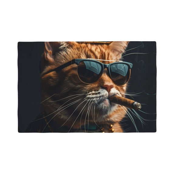 Placemats Set of 4 / 6, Dapper Cat in Sunglasses Placemats for Dining Table Indoor/Outdoors Heat Resistant Washable Placemats 18" x 12"