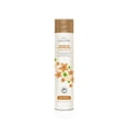 thumbnail image 1 of Placenta Life Hair Detox & Renewal Shampoo with Sacha Inchi Oil-Repairing- Moisturizing- Nourishing-Healthy Hair- Salt, Sulfate and Parabens Free- 300 ml/10.14 fl/oz., 1 of 6