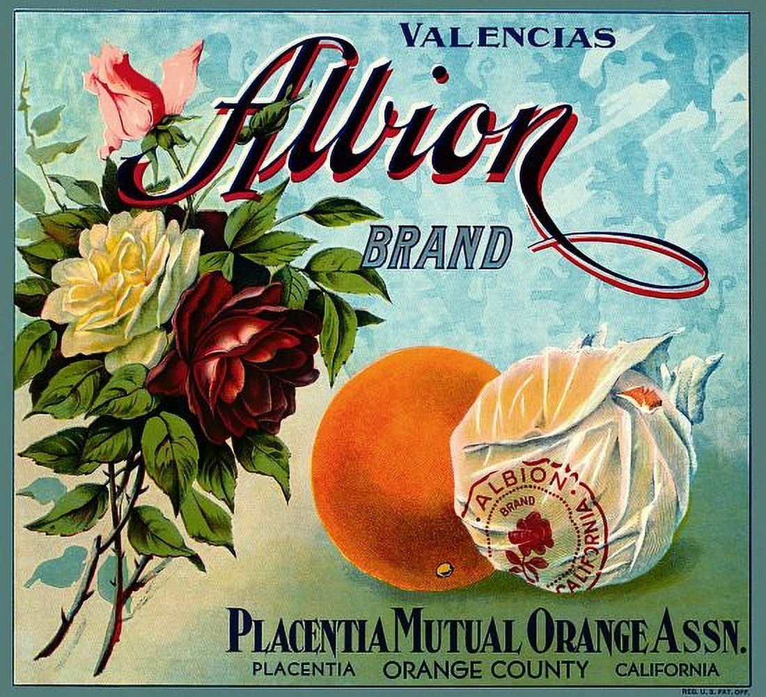 Placentia Orange County Calif label Canvas Art - (24 x 36)
