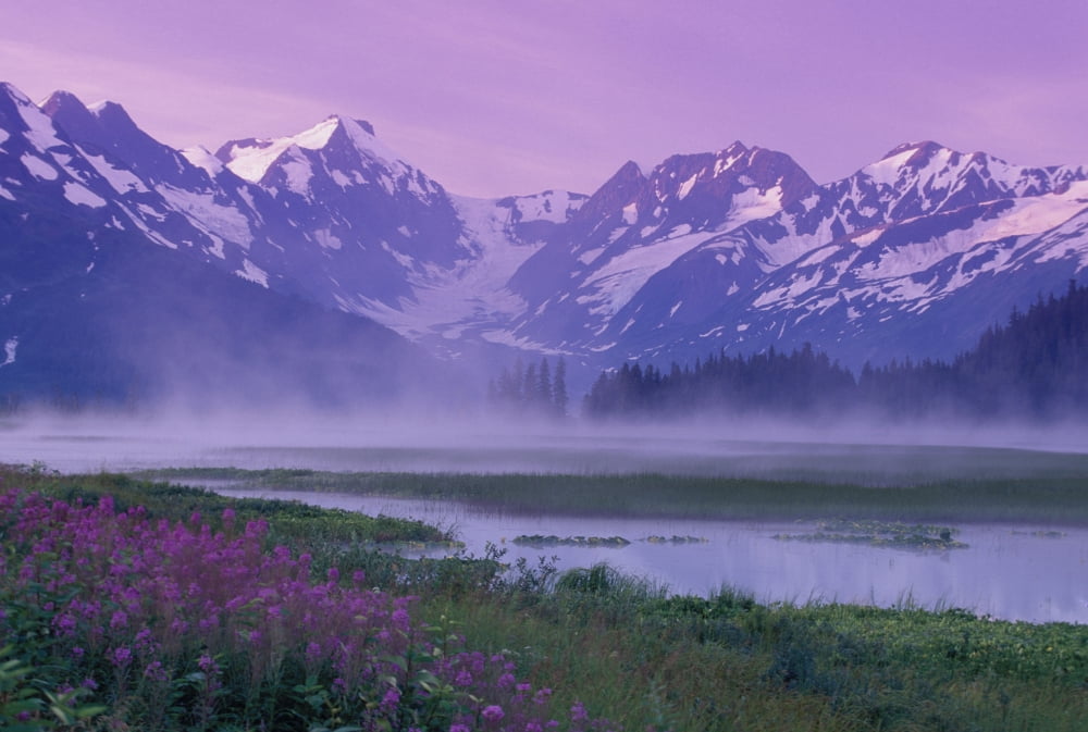 Placer River Valley Landscape At Dawn Sc Ak Canvas Art - Michael DeYoung Design Pics (34 x 22)