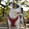 thumbnail image 1 of PlacerMe Dog Reflective Mesh Collar Harness Leash Adjustable-Travel Walk Strap No Pull No Tug, 1 of 14