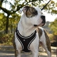 thumbnail image 1 of PlacerMe Dog Reflective Mesh Collar Harness Leash-Travel Walk Strap No Pull No Tug Black Large, 1 of 12