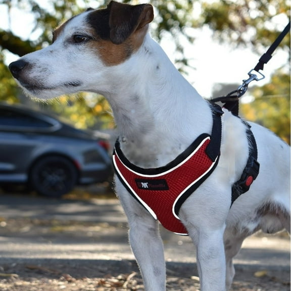 PlacerMe Dog Reflective Mesh Collar Harness Leash-Travel Walk Strap No Pull No Tug Red Large