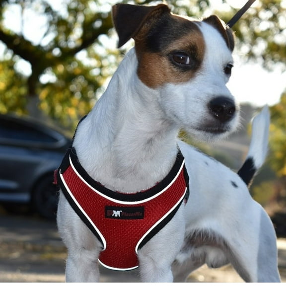 PlacerMe Dog Reflective Mesh Collar Harness Leash-Travel Walk Strap No Pull No Tug Red Medium