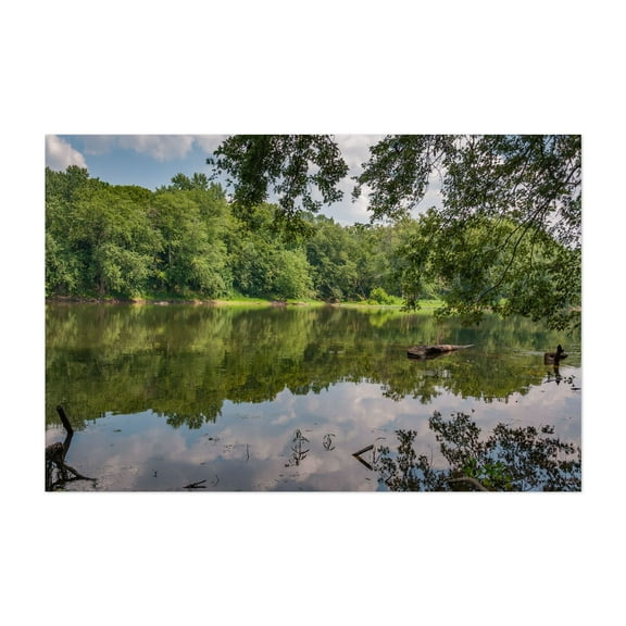 The Placid Potomac River on a Sweltering August Day - Leesburg Virginia Photography Lake Forest Nature Scenic Landscape Water Wilderness Unframed Wall Art Print 4 x 6 inches