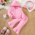 thumbnail image 1 of Placlothes Pink Kids Kids Girl Matching Outfit: Hooded Jacket & Flared Pants, Soft Stretch, 6-36 Months,Size 2 T, 1 of 9
