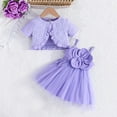 thumbnail image 1 of Placlothes Tutu Dress and Skirt Outfits for Girls 2 Piece Set with Cute Tops Little Girls and Big Girls Summer Fall Solid Purple Birthday Kids Size 3 T, 1 of 8