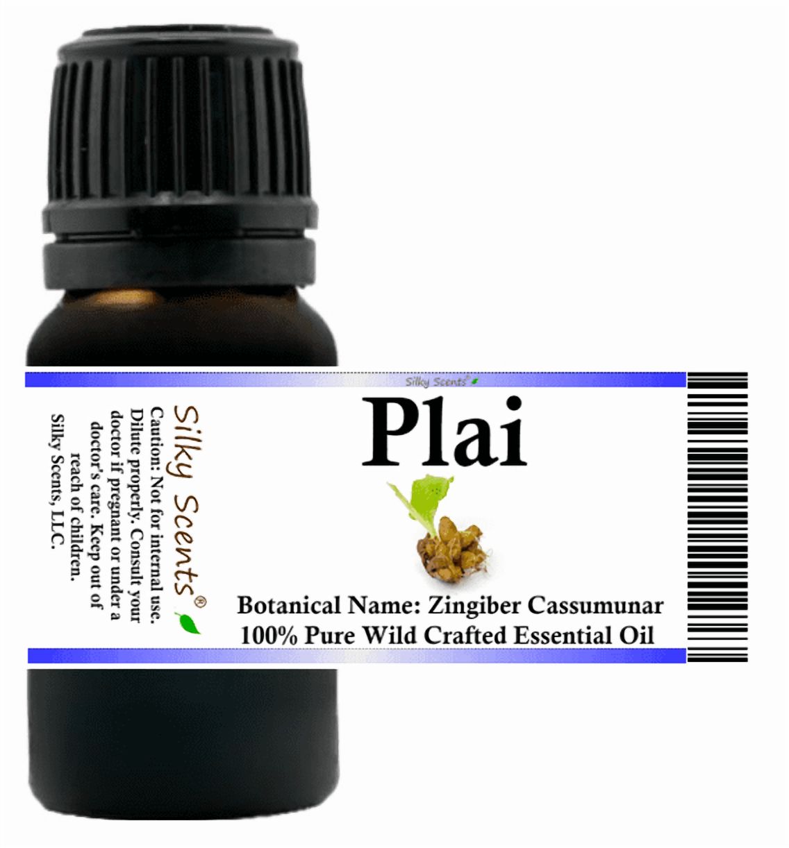 Plai Wild Crafted Essential Oil 15 ml (1/2 fl oz) - 100% Pure and Natural by Silky Scents