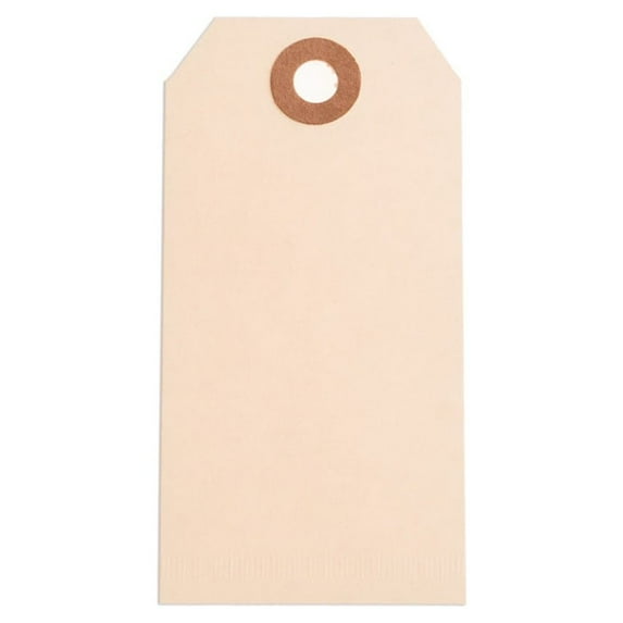 Plain Bag Tag MANILA 1-7/8 x 3-3/4-M/BX