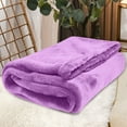 thumbnail image 1 of Plain Color for Winter 70x100cm Warm Velvet Conditioning Picnic Blanket Aviation Leg Cover 1PC, 1 of 5