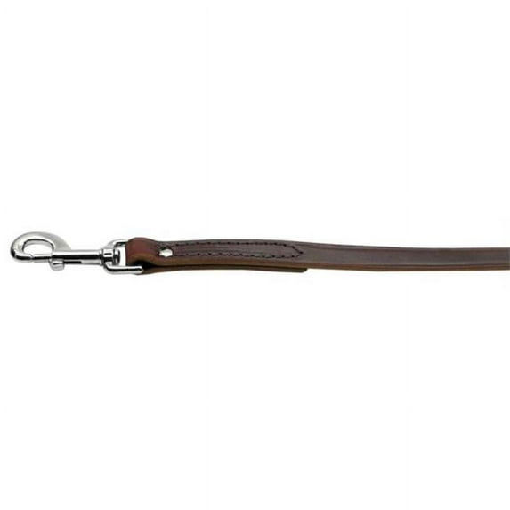 Plain Leather Leash Burgundy .38in wide 4ft long