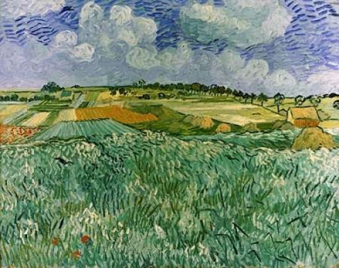 Plain Near Auvers Canvas Art - Vincent Van Gogh (22 x 28)