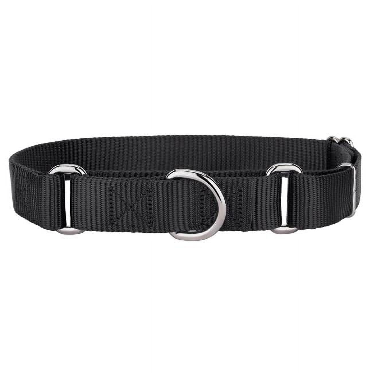 Plain Nylon Martingale Dog Collar, Medium Black