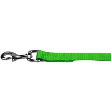 Plain Nylon Pet Leash, Hot Lime Green - 1 in. by 6 ft.