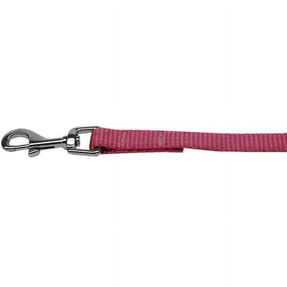 Plain Nylon Pet Leash, Rose - 0.67 in. by 4 ft.