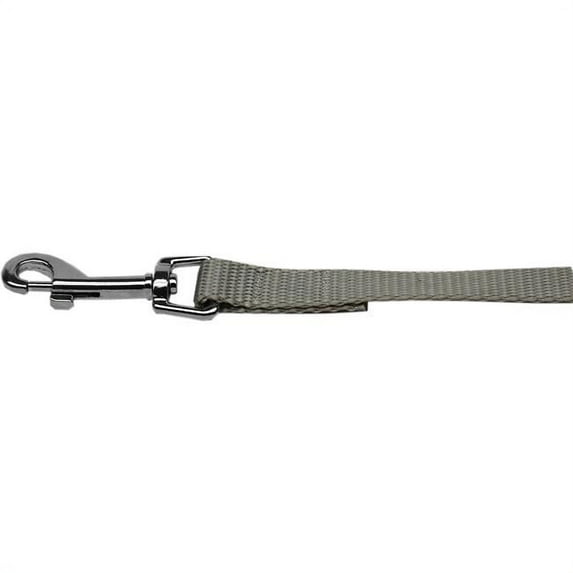 Plain Nylon Pet Leash, Silver - 0.37 in. by 4 ft.