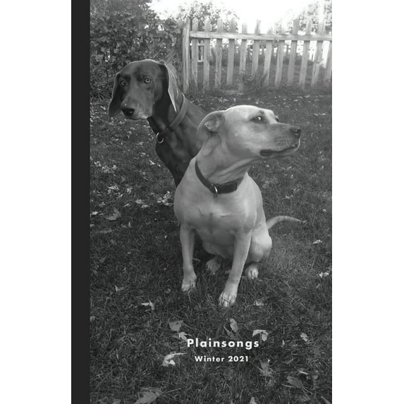 Plainsongs 41.1, (Paperback)